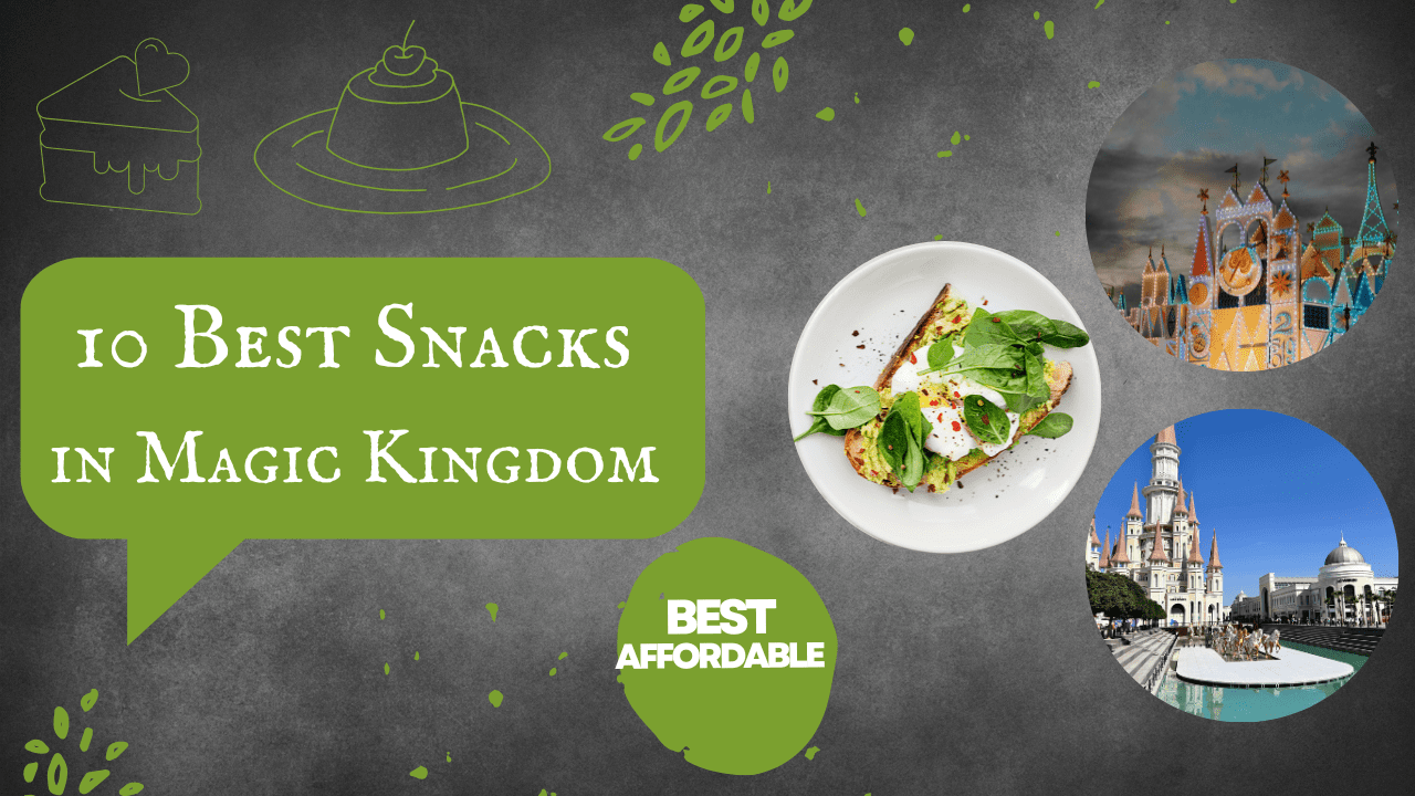 Best Snacks in Magic Kingdom (Ranked by Taste & Value)