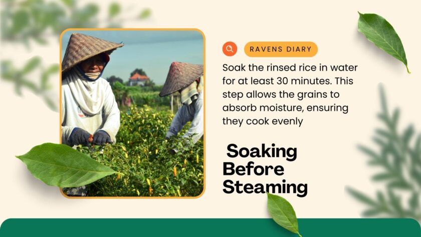 Tired of Soggy Rice? Dampfreis Has the Ultimate Fix and Guide