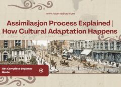 Assimilasjon Process Explained | How Cultural Adaptation Happens