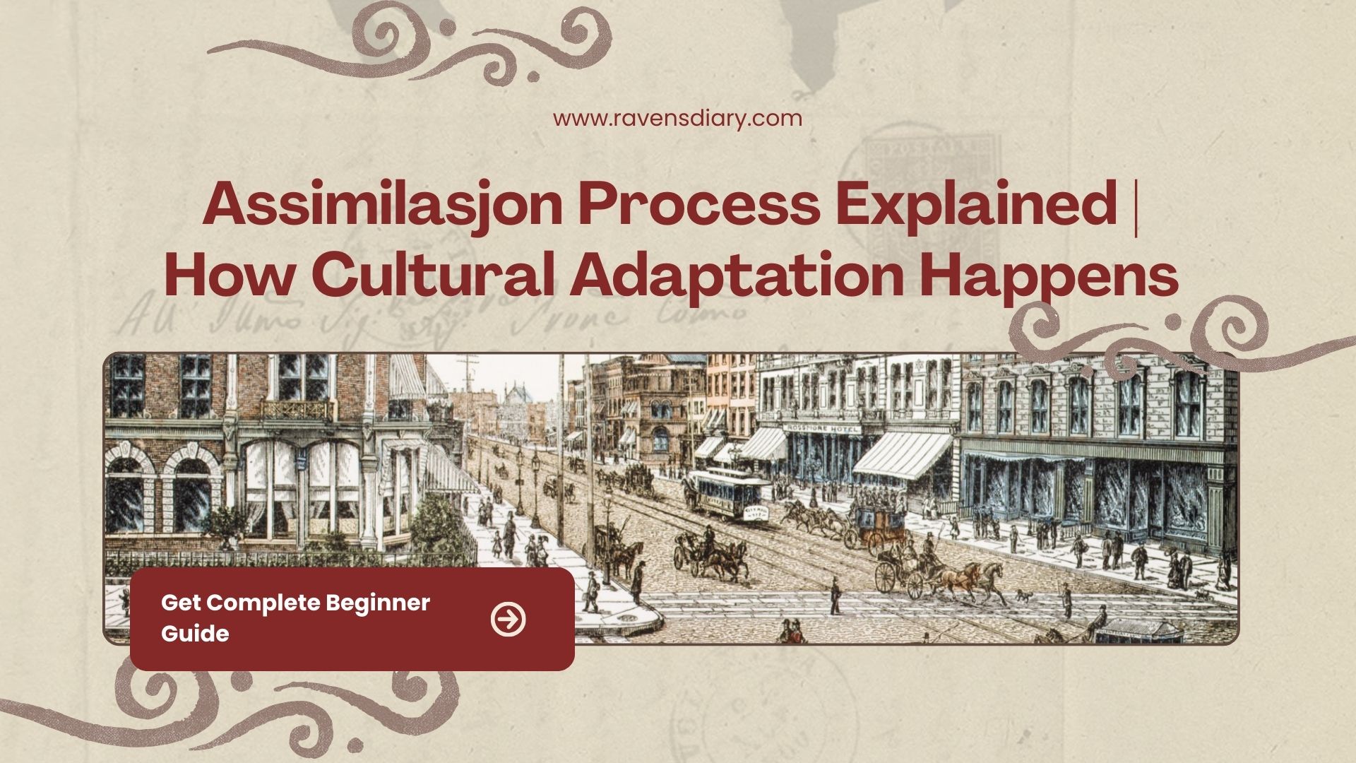 Assimilasjon Process Explained | How Cultural Adaptation Happens