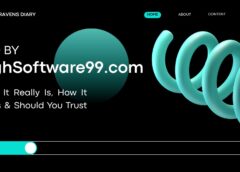 SEO by HighSoftware99.com | What It Really Is, How It Works & Should You Trust It?