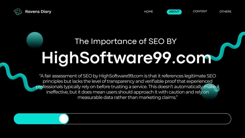 SEO by HighSoftware99.com | What It Really Is, How It Works & Should You Trust It?